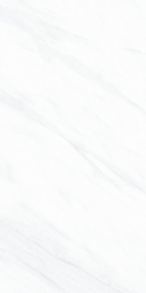 天山白